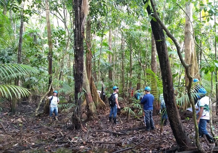 IFT  Moradores das Resex do Marajó participam de oficinas sobre Manejo de  Açaizal